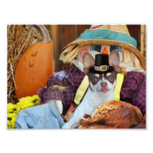 Erntedank Chihuahua Fotodruck