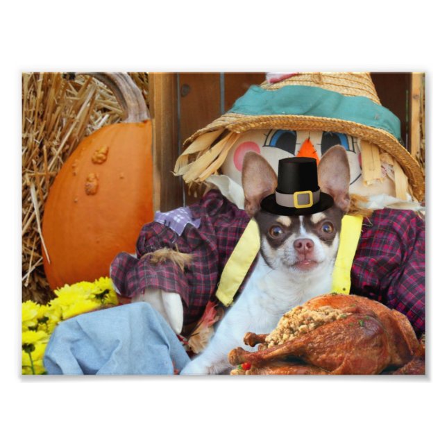 Erntedank Chihuahua Fotodruck (Vorne)