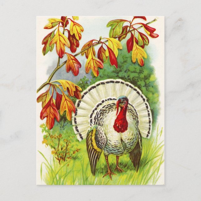 Erntedank Greetings Feiertagspostkarte (Vorderseite)