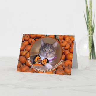 Erntedank Gruß mit Cat Grußkarte Feiertagskarte
