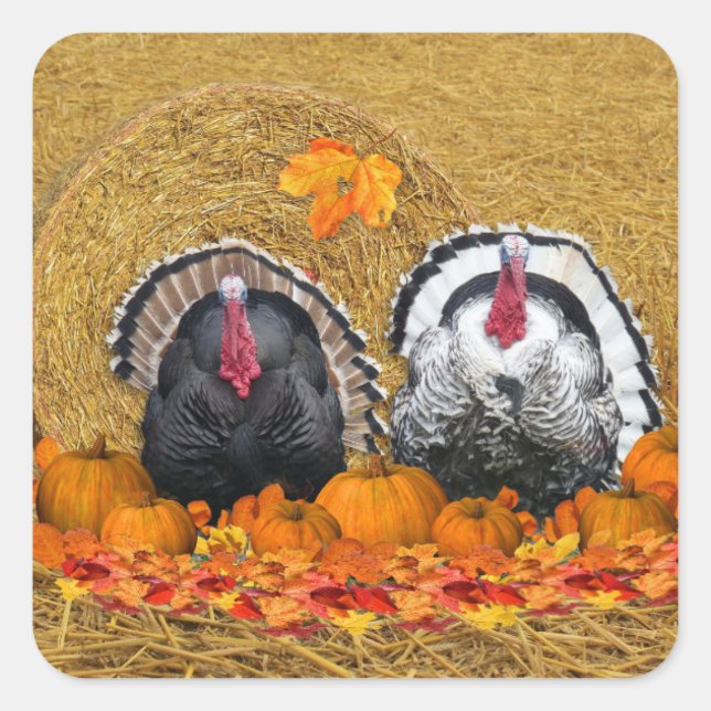 Erntedank Harvest Classic Round Aufkleber (Vorderseite)