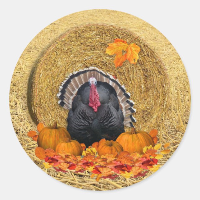 Erntedank Harvest Classic Round Aufkleber (Vorderseite)