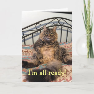 Erntedank Hungerkatze Erntedank Card Feiertagskarte