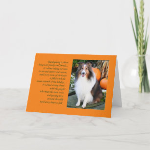 Erntedank ist...Sheltie Card Feiertagskarte