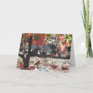 Erntedank-Karte: Hummingbird im Weingarten Feiertagskarte