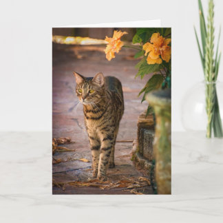 Erntedank-Karte mit Katz- und Herbstkarte Blume Feiertagskarte