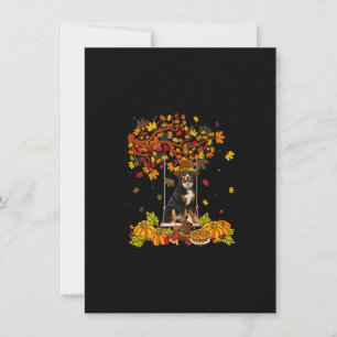 Erntedank Maple Pumpkin Bernese Mountain Dog Ha Einladung