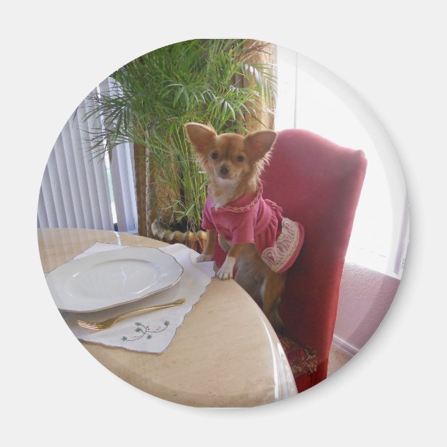 Erntedank mit Chi-Magnet Magnet (Vorne)