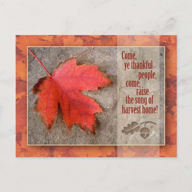 Erntedank Postkarte (Vorderseite)