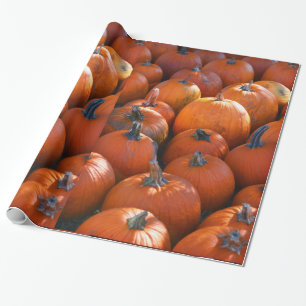 Erntedank Pumpkin-Patch Geschenkpapier