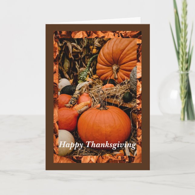 Erntedank Pumpkins Card, 5 Zoll x 7 Zoll geklappt Karte (Vorderseite)