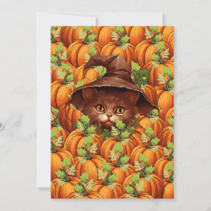 ERNTEDANK PUMPKINS NIEDLICH CAT EINLADUNG