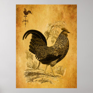 Erntedank Rooster Poster