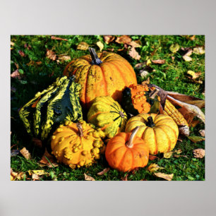 Erntedank-Szene mit Pumpkins-Corn-Gourds Poster