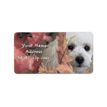 Erntedank Toy Poodle Welpen-Adressetiketten