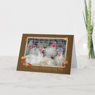 Erntedank Türkei Feiertagskarte