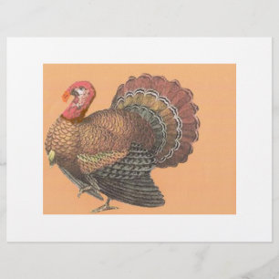 Erntedank Türkei Flyer