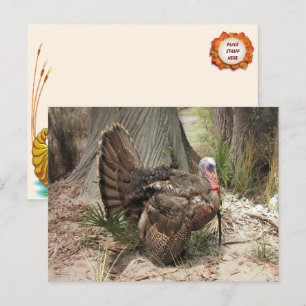 Erntedank Türkei Postkarte