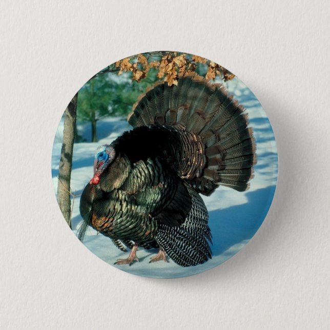 Erntedank Türkei Weihnachts-Bird Winterurlaub Button (Vorderseite)