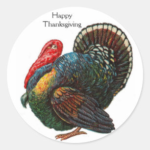 Erntedank Turkey Sticker