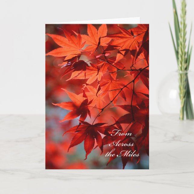 Erntedank von der Karte über die Meilen (Vorderseite)