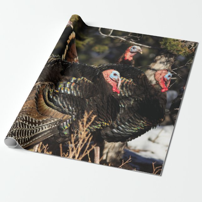 Erntedank von Wild-Truthühnern Geschenkpapier (Ungerollt)