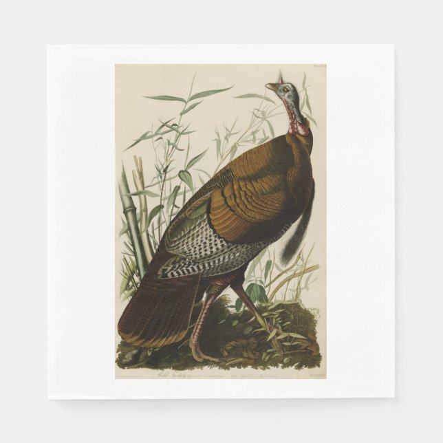 Erntedank Wild Turkey John James Audubon Serviette (Vorderseite)