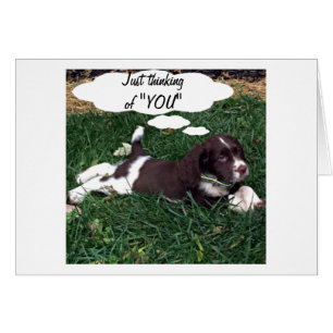 ERNTEDANK ZEIT ZU DENKEN "SIE"