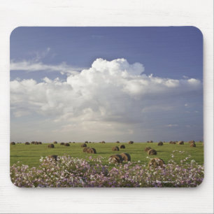Erntefelder mit Kosmos-Blumen herein Mousepad