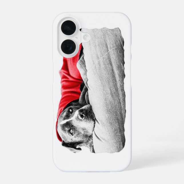 Ernteflamme Ruhe iPhone 16 Hülle (Rückseite)