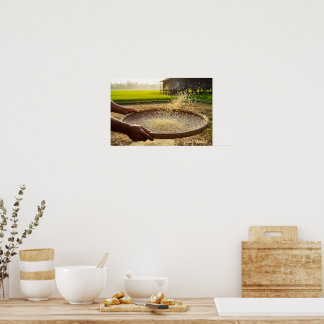 Erntegetreide, Reisfeld Poster