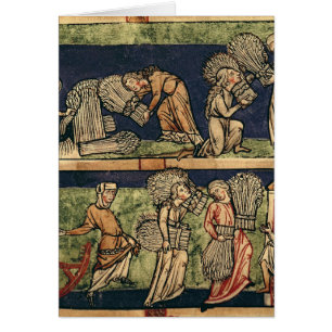 Ernten, Rhein-Schule