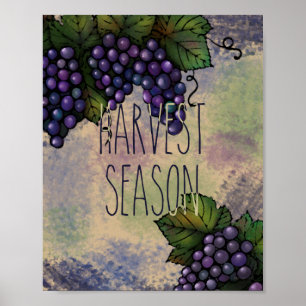 Erntezeit   Lila Trauben Poster