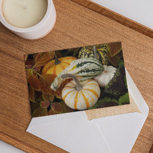 Erntkürbis Thanksgiving-Dinner-Einladung Feiertagskarte