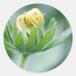 Eröffnung der Blume der Kon-Blume Runder Aufkleber