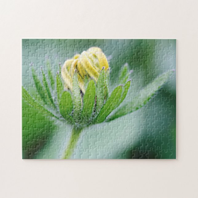 Eröffnung der Blume der Kone-Blume Puzzle (Horizontal)