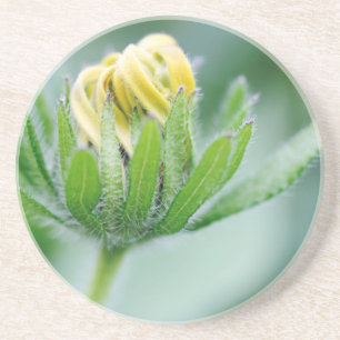 Eröffnung der Blume der Kone-Blume Untersetzer