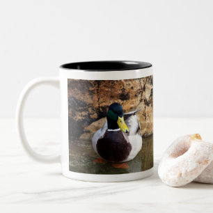 Erpel der Stockente Zweifarbige Tasse