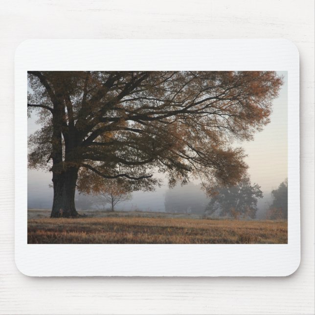 Erreichbarkeit Mousepad (Vorne)