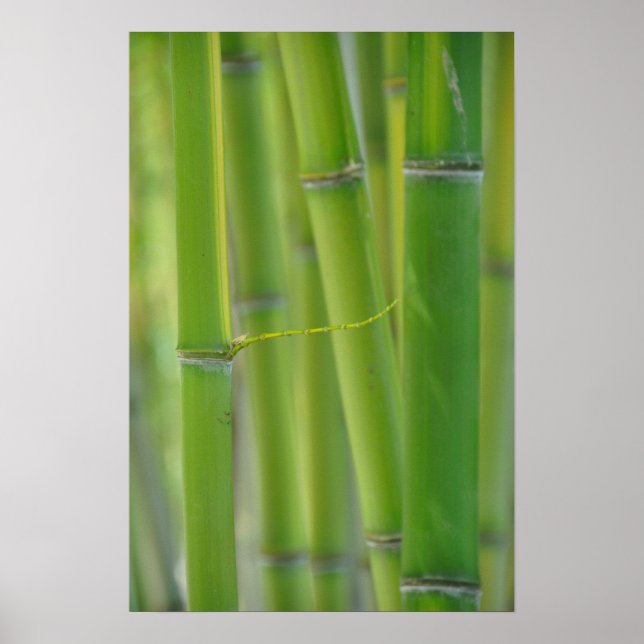 Erreichbarkeit Poster (Vorne)