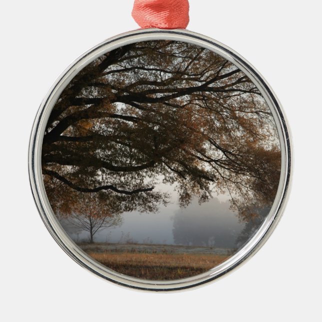 Erreichbarkeit Silbernes Ornament (Vorne)