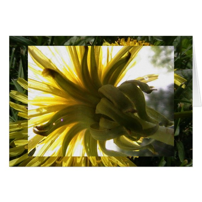 erreichen (Vorderseite (Horizontal))