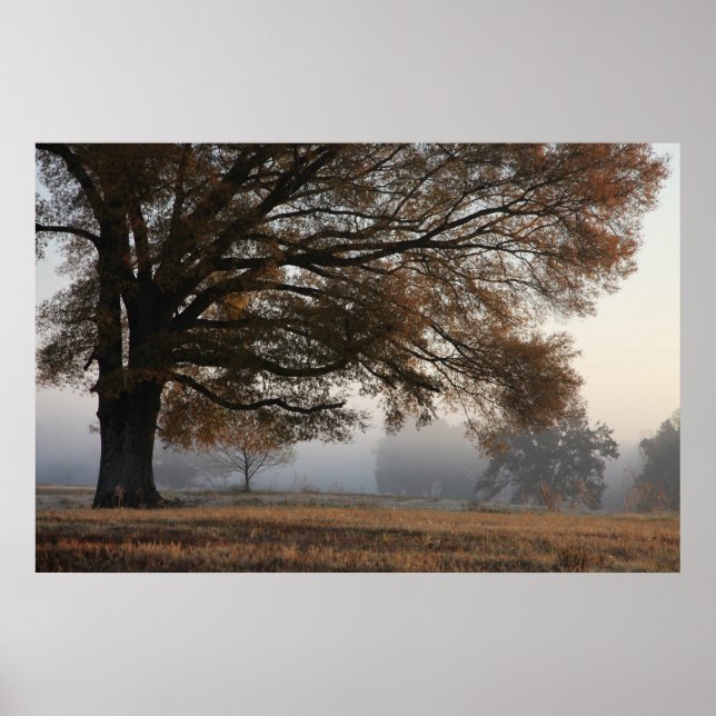 Erreichen Poster (Vorne)