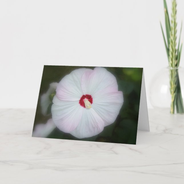 Erröten Hibiskus-Karte Karte (Vorderseite)