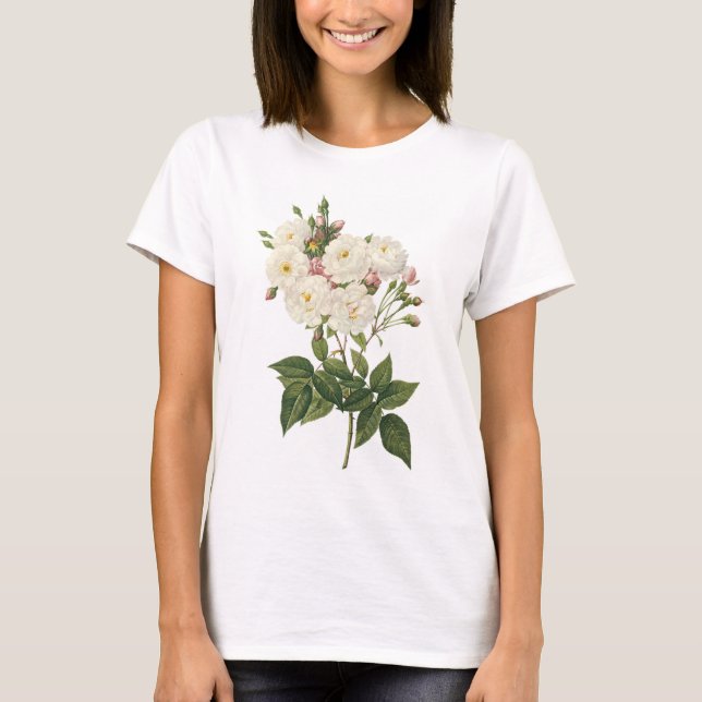 erröten noisette Rose (Rosa noisettiana) durch T-Shirt (Vorderseite)