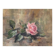 Errötende Gnadenrose