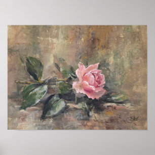Errötende Gnadenrose Poster