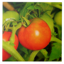 Errötende Schönheits-Küche Fliese/Trivet