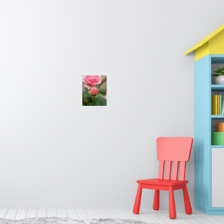Errötendes Versprechen: Die sich entfaltende Rose Poster