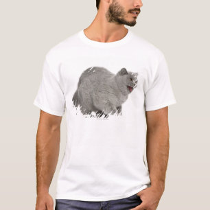 Erschrockenes britisches zischendes Shorthair (8 T-Shirt
